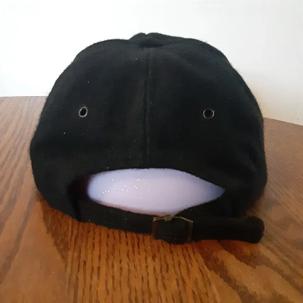 Vtg Aspen Colorado Wool Hat Cap Black Brown Strapback